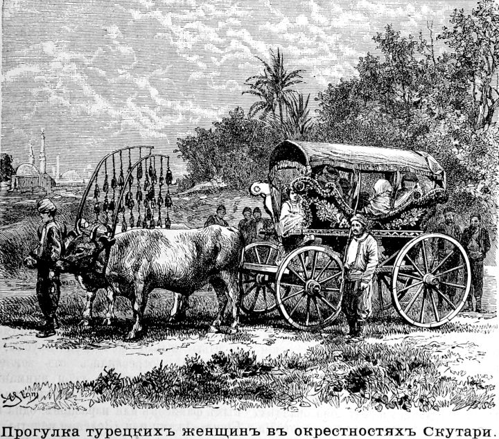 561 Прогулка турецких женщин в окрестностях Скутари